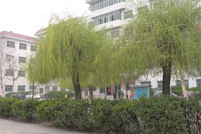 高鐵乘務(wù)專業(yè)，男生學習怎么樣？   
