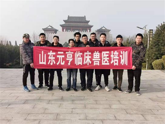 想當獸醫(yī)要學什么？   