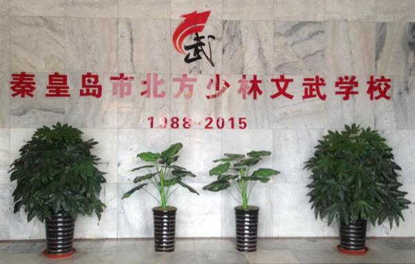 秦皇島北方少林文武學(xué)校就業(yè)如何？這答案你放心！
