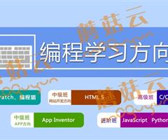 孩子為什么要盡早學(xué)習(xí)少兒編程。濟(jì)寧蘑菇云少兒編程
